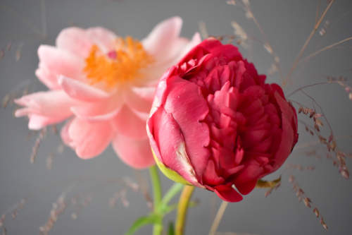 Körperorientierte Psychotherapie Potsdam Berlin